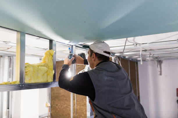 Best Wall Insulation Installation  in Taylor, AZ