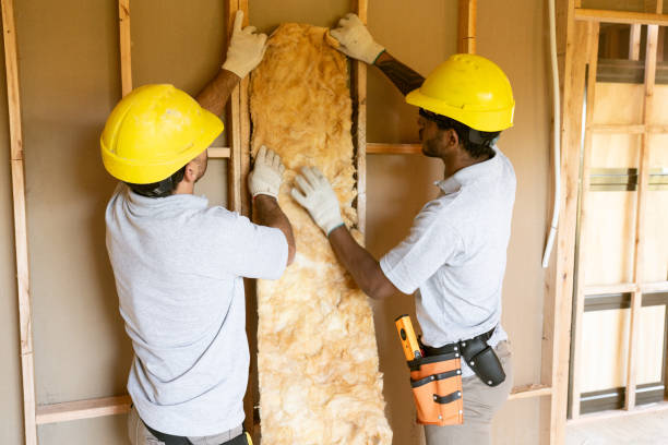 Best Blown-In Insulation  in Taylor, AZ